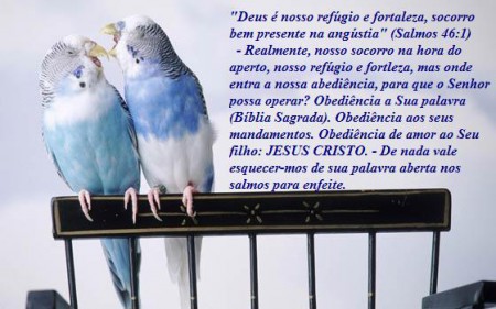 SALMOS 46:1