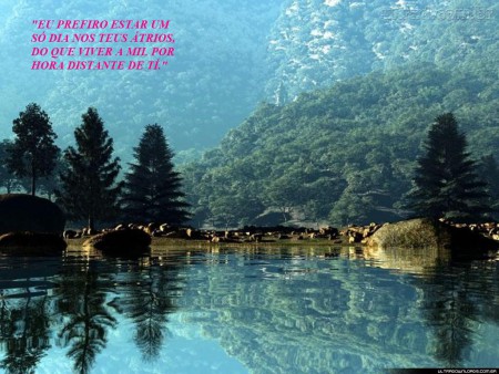 Vida só há em "Jesus"